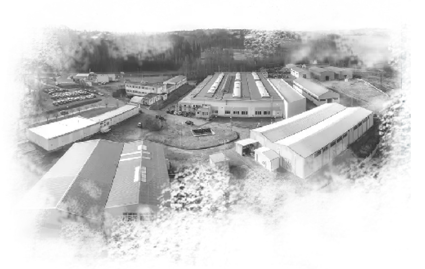 regały z 60letnią tradycją